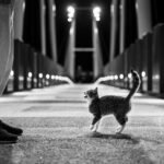 Co to jest bezrobocie frykcyjne