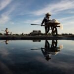 Jakie jest bezrobocie w USA