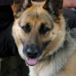 Jak prowadzić auto dostawcze