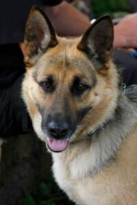 Jak prowadzić auto dostawcze