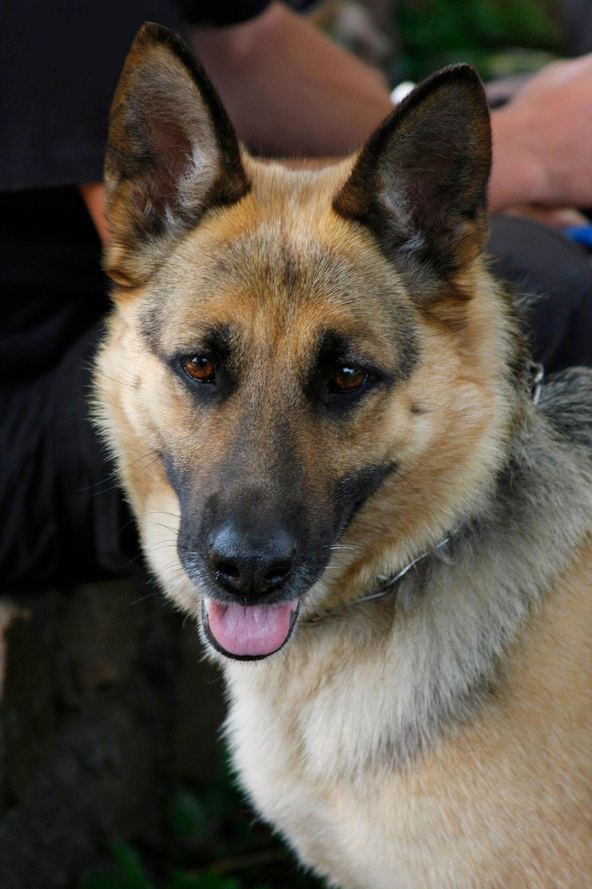 Jak prowadzić auto dostawcze