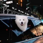 Jakie auto dostawcze najmniej awaryjne